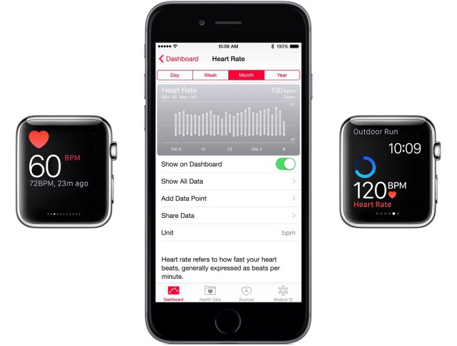 Apple Watch Heart Rate