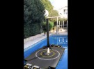 Un Falcon 9 de SpaceX aterrizará en tu piscina gracias a ARKit