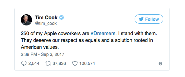 Cook Trump dreamers_2