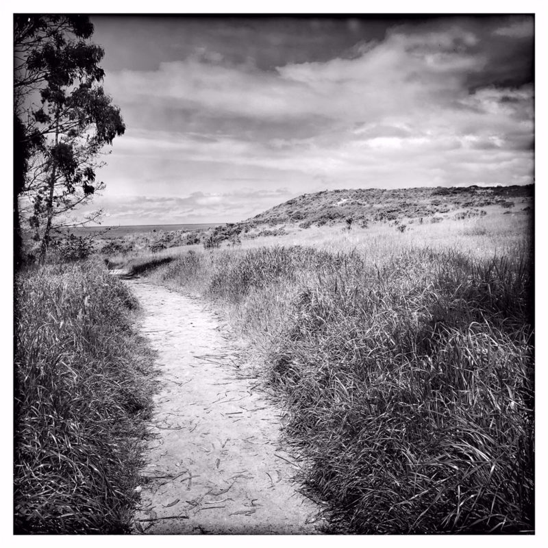 Apple Photographer Rachael Short Wandering Path Monastery Beach 05162019