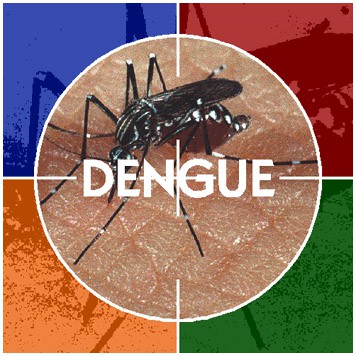 Nacen dos bebés con dengue en Argentina