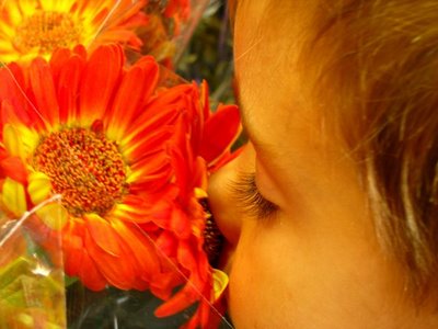 Esencias florales para ayudar a nuestros niños