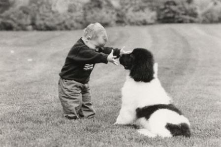 Mascotas y bebés