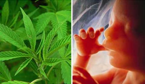 Fumar marihuana durante el embarazo retarda el crecimiento fetal