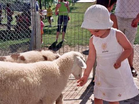 Disfrutar del Carnaval con los niños en plena naturaleza