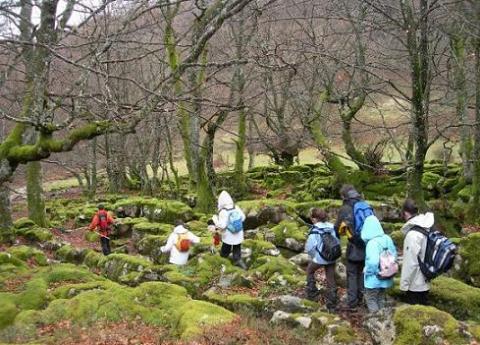 Bebés en Zumarraga, protagonistas del Día del Árbol