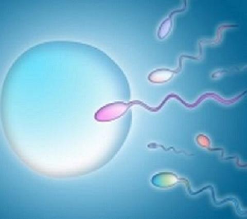 Los tratamientos de fertilidad aumentan ligeramente el riesgo de autismo en los hijos