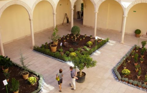 Cuentacuentos en el Jardín Botánico de Córdoba