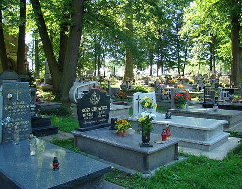 Los peques pueden visitar el cementerio
