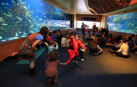 Música para bebés en el Oceanogràfic de Valencia