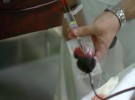 Los niños conciencian sobre la donación de sangre