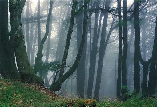 El parque o corralito, un producto cuestionado