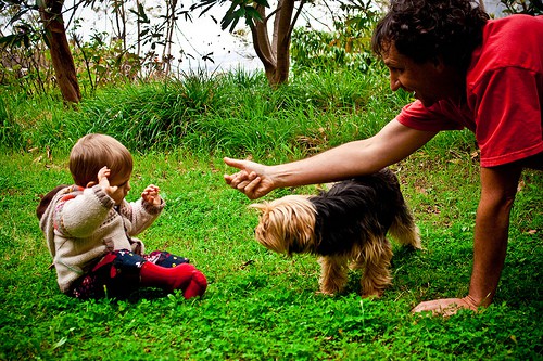 Si tu hijo quiere dormir con el perro