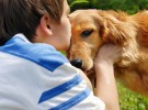 Perros que ayudan a niños con cáncer