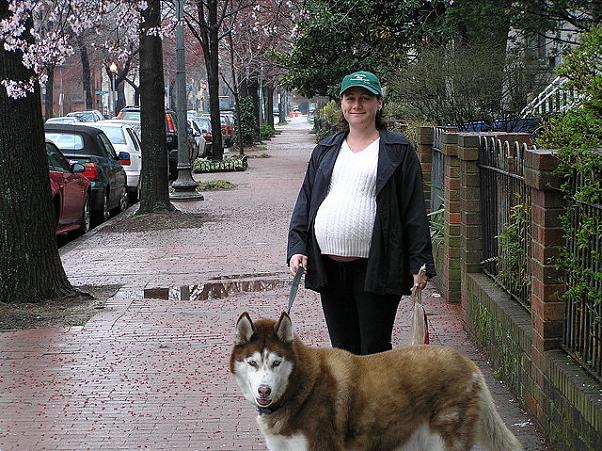 El perro el mejor amigo de la embarazada