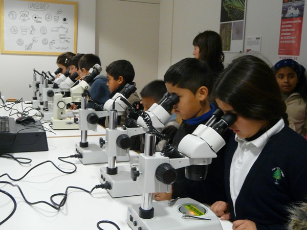 La vida al microscopio, taller familiar en Madrid