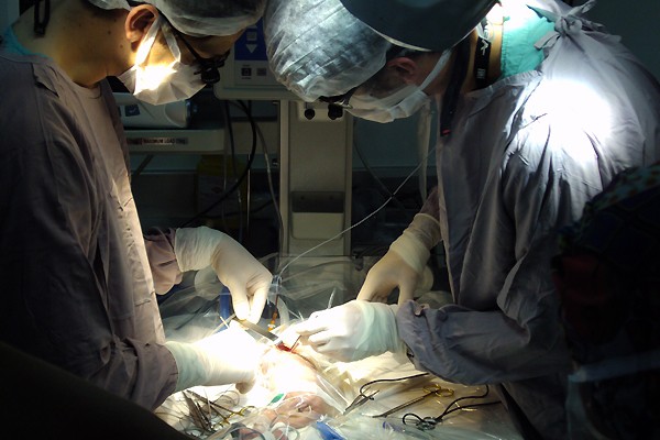 La anestesia en bebés puede trastornar su aprendizaje