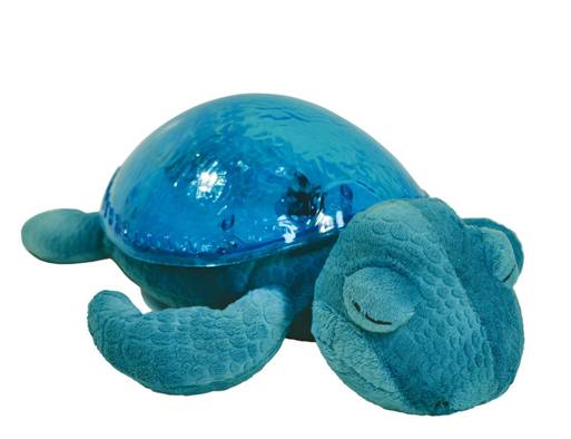 Una tranquila tortuga de CloudB