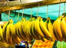 Se fomenta el consumo del plátano para niños