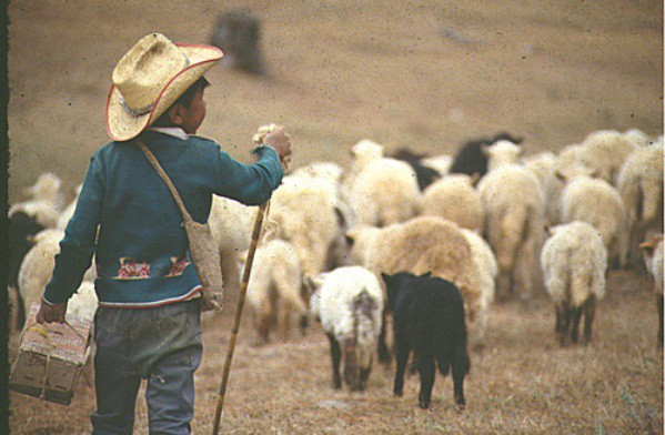 Poesía infantil: Las abarcas desiertas