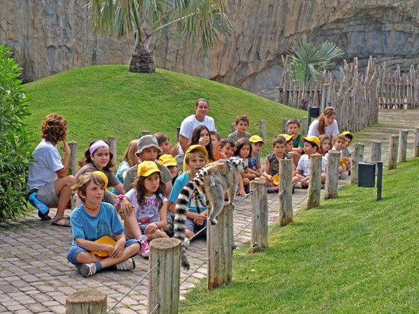 Planes para Semana Santa: Expedición África con Bioparc en Valencia