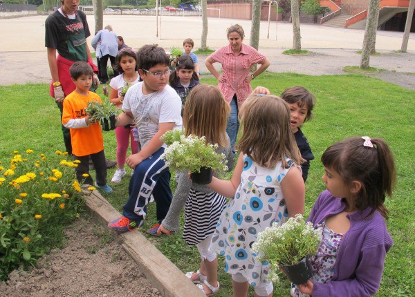 La jardinería para mejorar sus habilidades intelectuales, sociales y físicas