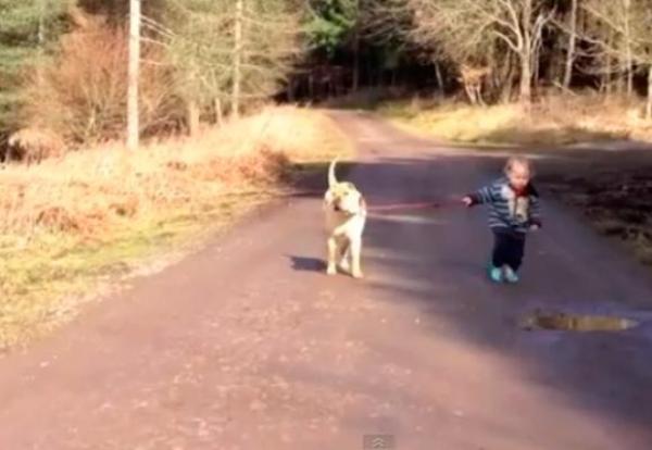 Pasear con el perro y descubrir un charco