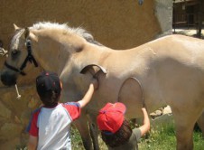 Especial campamentos de verano: Cataluña y Valencia