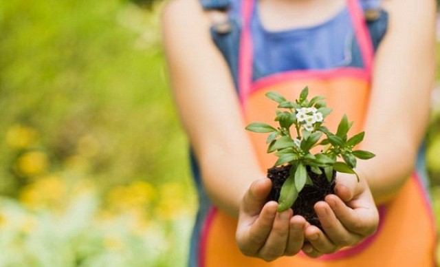 Las mejores plantas para los niños