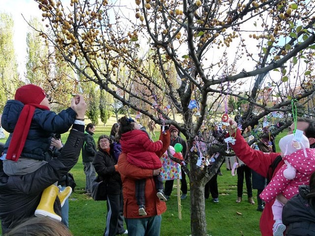 Los niños de Ávila ya tienen su árbol de chupetes