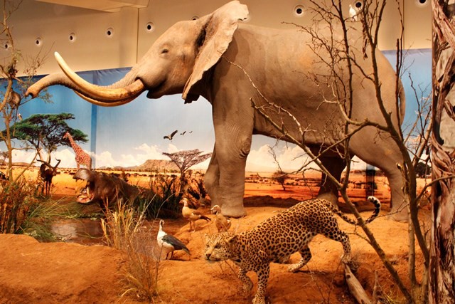 Actividades infantiles en el Museo de la Ciencia de Valladolid