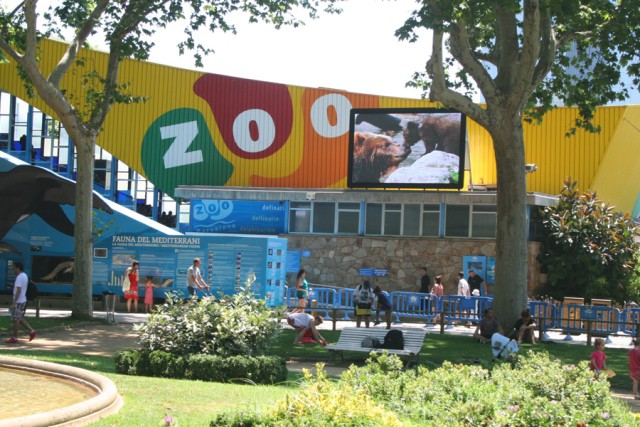 El Zoo de Barcelona gratis para los niños a cambio de un juguete