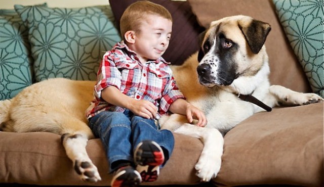 Un niño y un perro se ayudan mutuamente a superar sus miedos