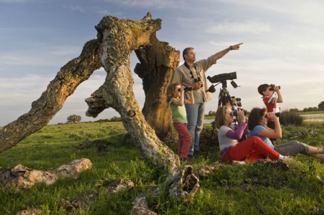 Viajar con niños: Parque Nacional de Doñana