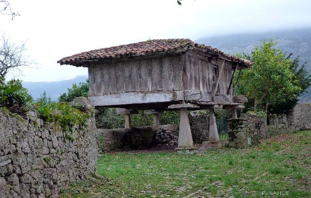 Nombres de bebés: Asturianos O y P