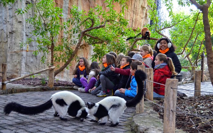 Planes para Semana Santa: Expedición África 2015 Bioparc Valencia