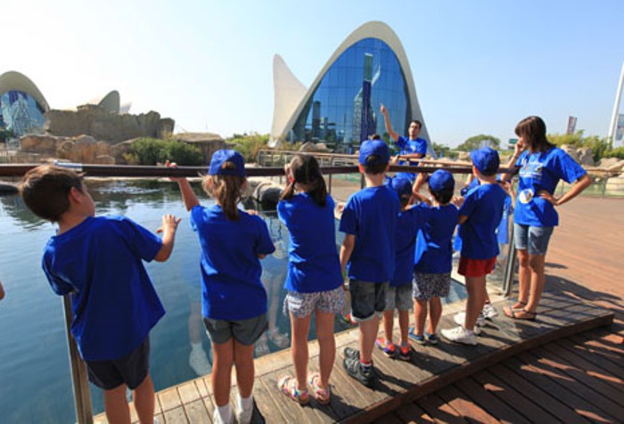 Escuela de verano 2015 en la Ciudad de las Artes y las Ciencias de Valencia