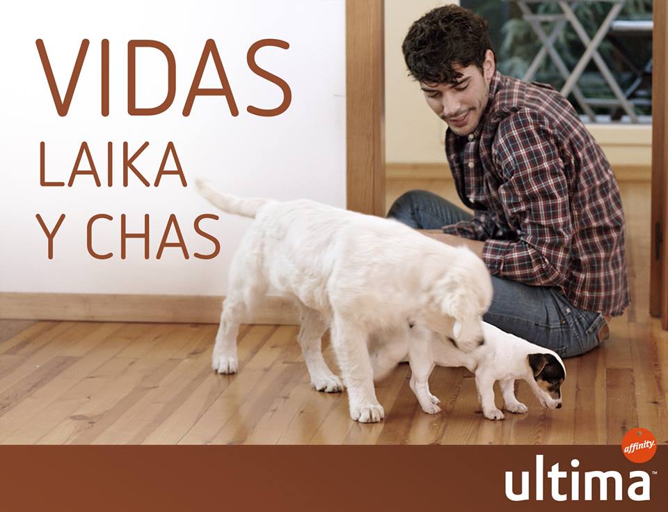 Cuida al perro de la familia con Ultima de Affinity