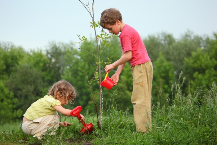 Niños más listos si están rodeados de Naturaleza