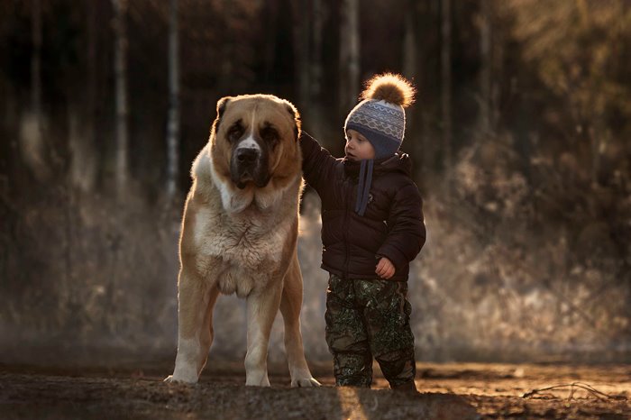 Los niños lo tienen claro: los animales no son un juguete