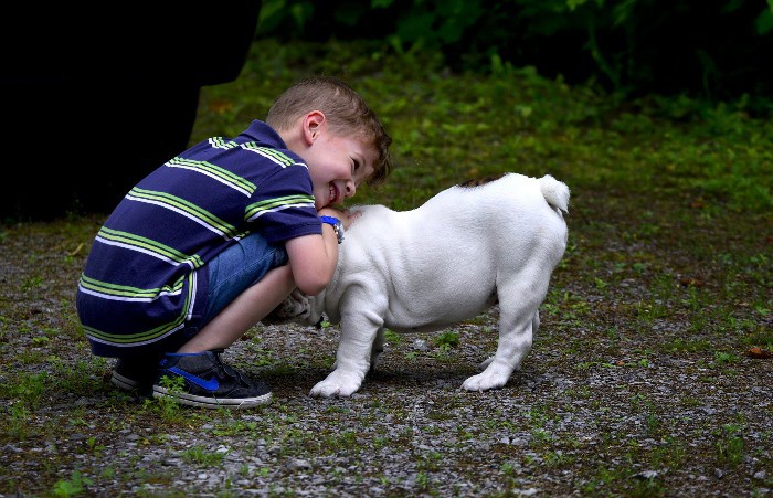 Perros que ayudan a niños autistas en un hospital de A Coruña