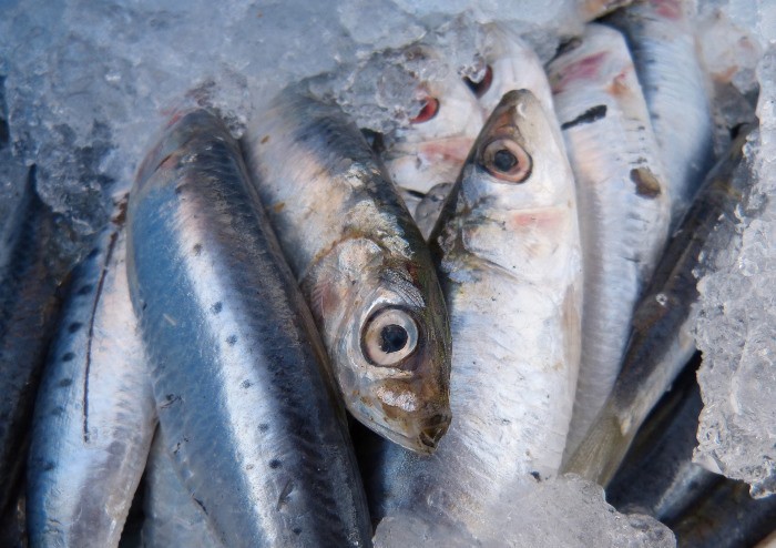 Mucho pescado en el embarazo, mayor riesgo de obesidad infantil