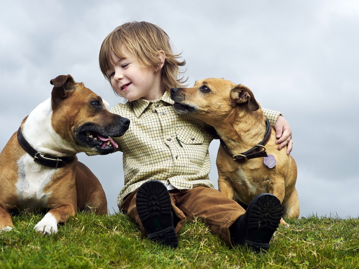 Niños y animales: Los Perros (I)