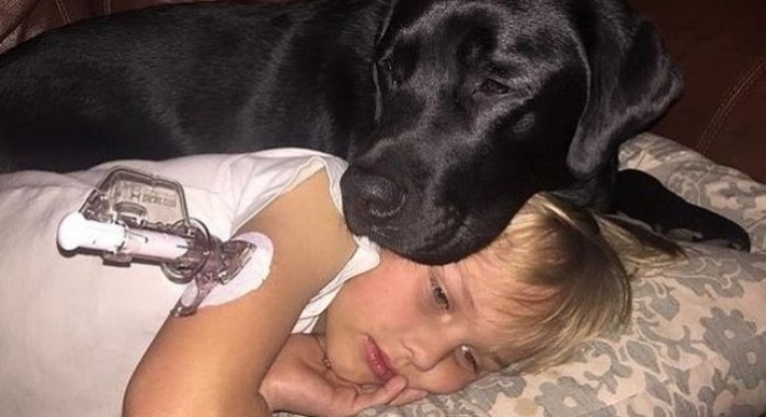 Un niño con diabetes se salva gracias a su perro