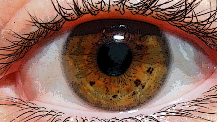 Enfermedades genéticas: Retinosis Pigmentaria