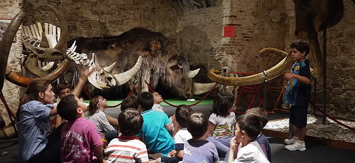 museo del mamut niños