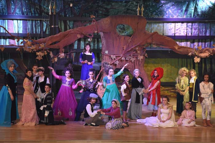 Teatro infantil: Into the woods