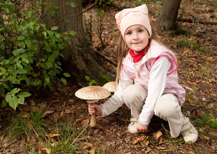 Consejos para coger setas, en otoño, con los niños