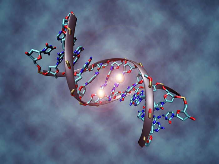 Nace el primer bebé con el ADN de tres progenitores