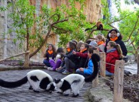 Bioparc Valencia escuela navidad